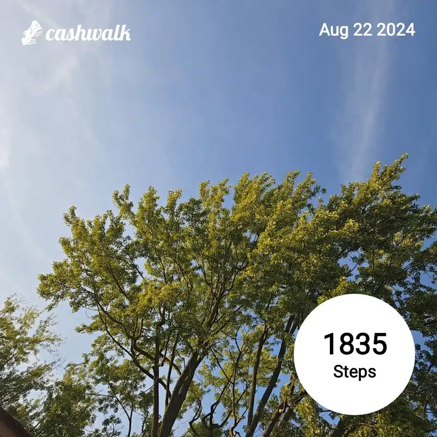 CashWalk_share_capture_20240822_deec7357-1f8e-402e-b893-345c18c7