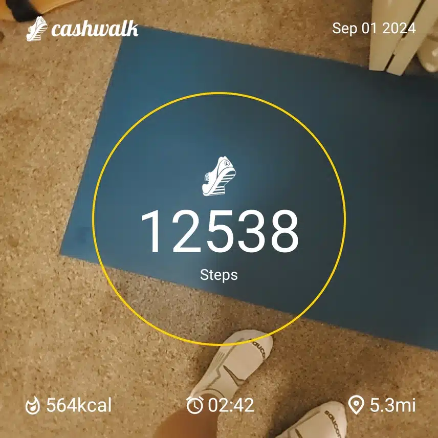 CashWalk_share_capture_20240901_61785ab8-4329-4285-90ff-7f06f7e1
