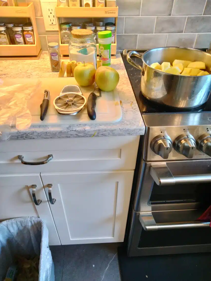 1000005741.jpg_resize