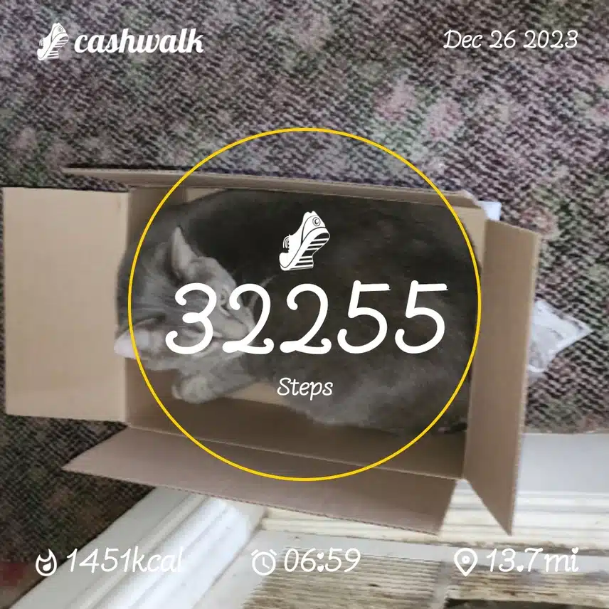 CashWalk_share_capture_20231226_d4a8122c-de6e-4a2a-9018-02e4f18a