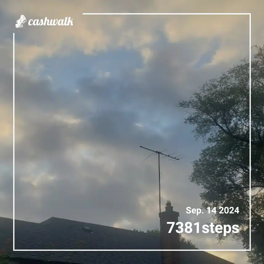 CashWalk_share_capture_20240914_8f81741b-e26a-41be-87cf-fcb93b9a