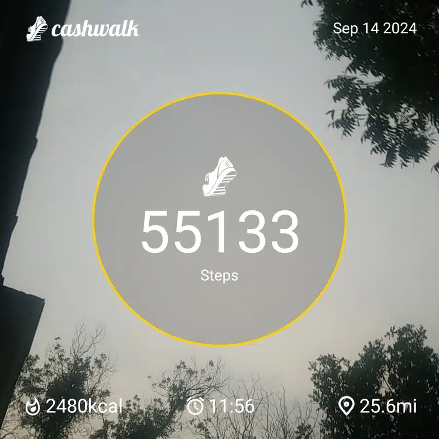 CashWalk_share_capture_20240914_aa6e9ca7-0138-4ec0-8f0b-ae4f8486