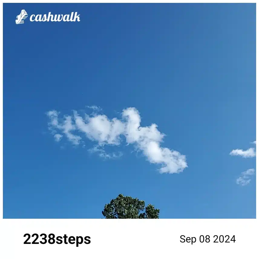 CashWalk_share_capture_20240908_992c9ce0-d809-4dce-9b28-40c0a1e7