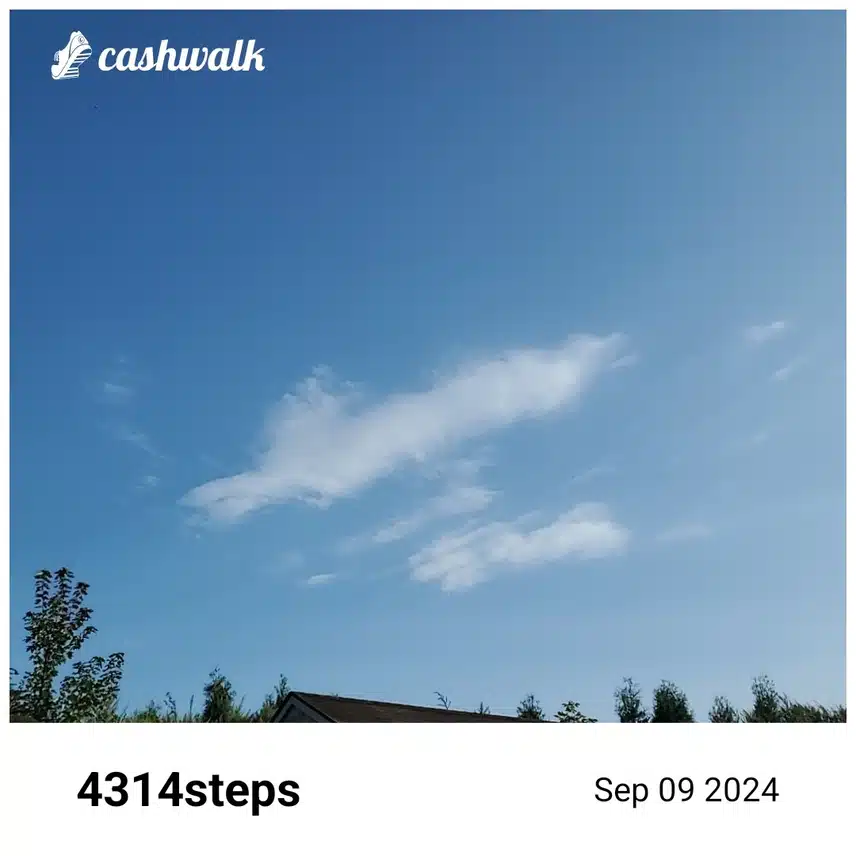 CashWalk_share_capture_20240909_fc580b25-4df3-4019-9d40-53461602