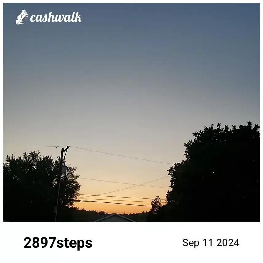 CashWalk_share_capture_20240911_b991cd0c-61f9-460c-9ed8-7691fc86