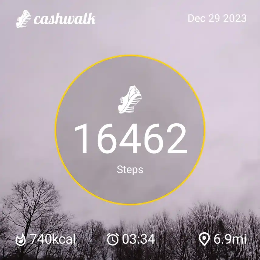 CashWalk_share_capture_20231229_8024b291-f8eb-461e-bc92-3690c3c2