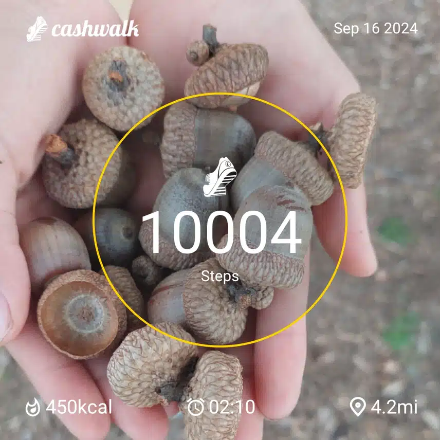 1000007048.jpg