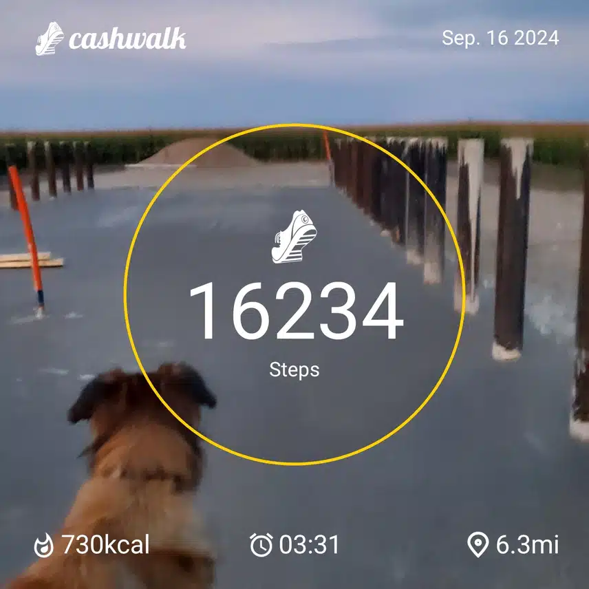 CashWalk_share_capture_20240916_40704c42-2221-46c9-8ca1-67b02c66