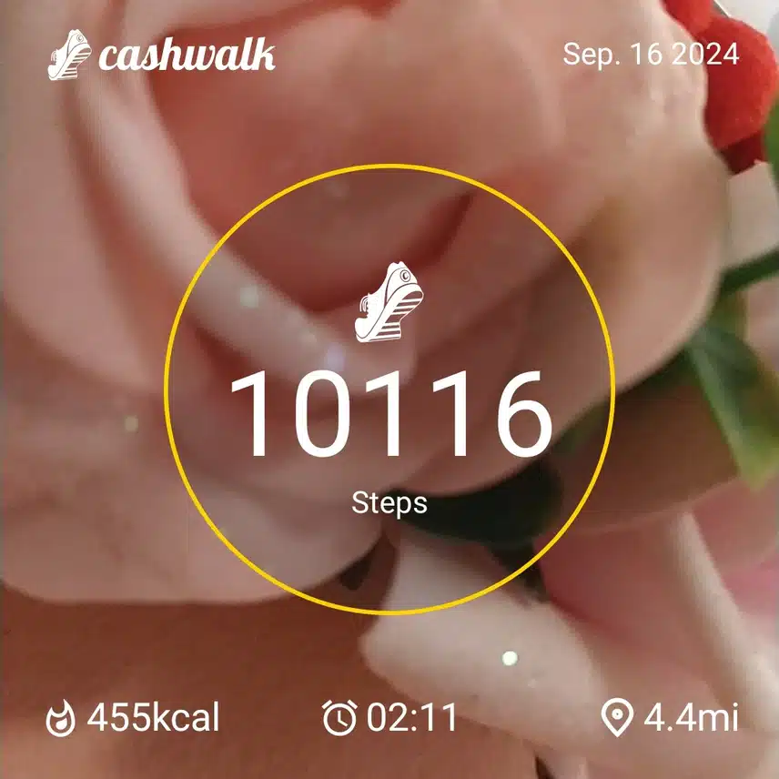 CashWalk_share_capture_20240916_80d18ecb-3986-4457-9f04-b7abd95e