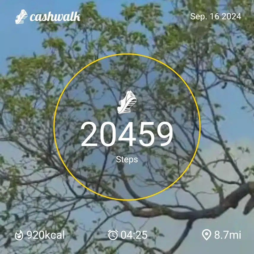 CashWalk_share_capture_20240916_19be3ab4-a47d-4cf6-8898-7fb21956
