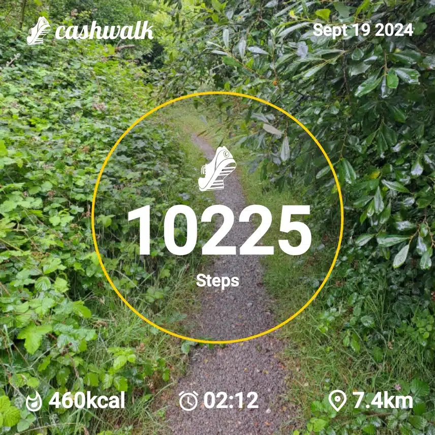 CashWalk_share_capture_20240919_1562c77f-9fa9-4e21-bf38-46e18486