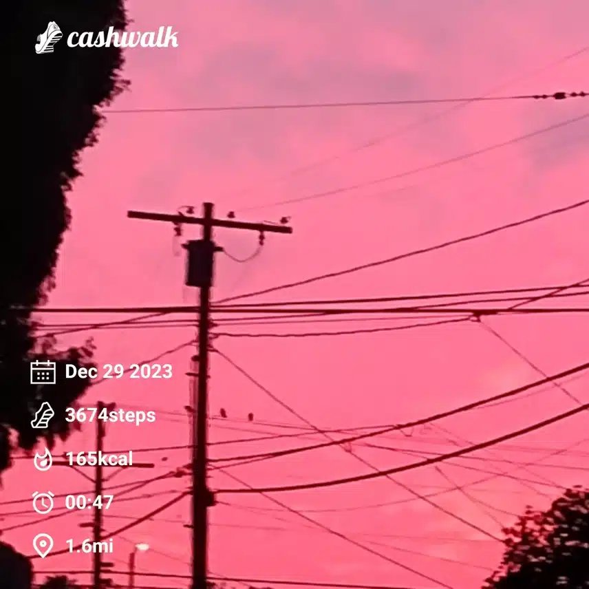 CashWalk_share_capture_20231229_def261bc-7e6f-4889-9db8-ad26d329