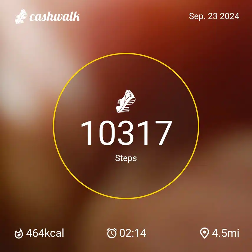CashWalk_share_capture_20240923_4fd6c47d-6b90-4b69-9a6f-14d2db7e