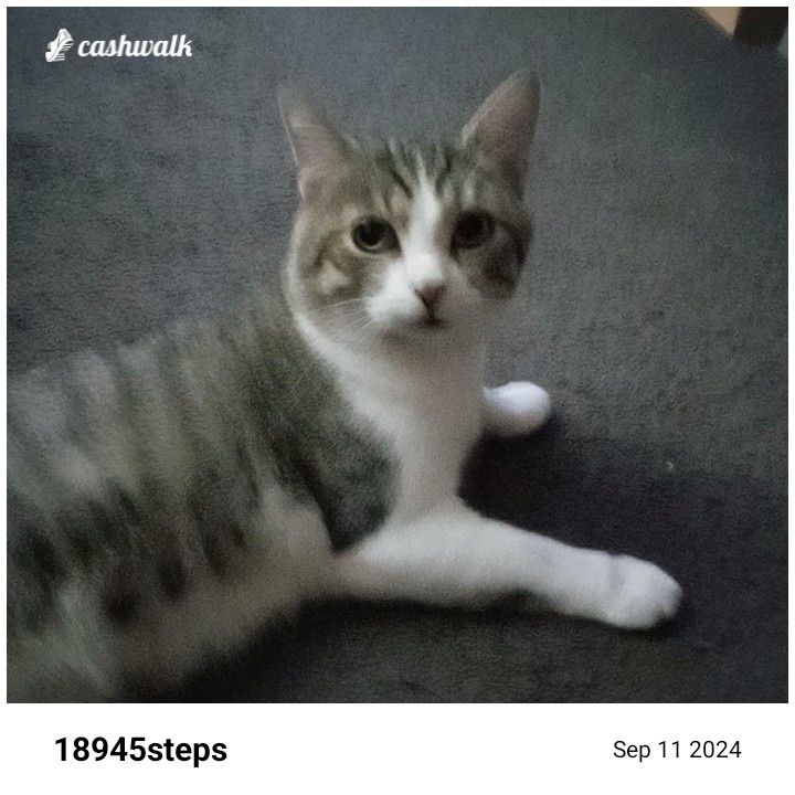 CashWalk_share_capture_20240911_392fa856-870b-4c36-98db-9f9e1b02