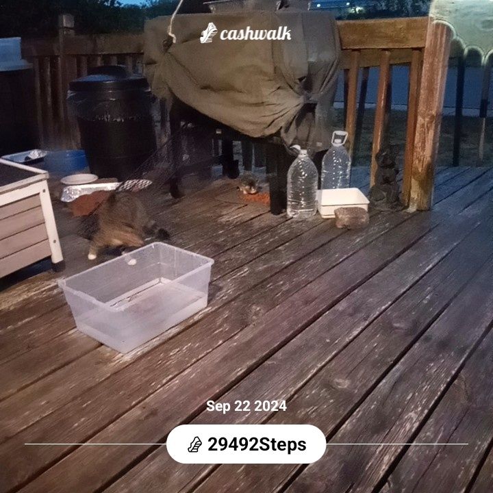 CashWalk_share_capture_20240922_7e12b30b-954e-464f-aacf-553a8545
