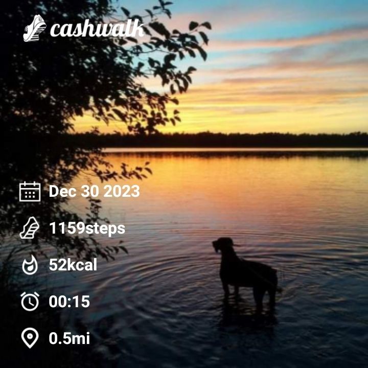 CashWalk_share_capture_20231230_a215255b-5c7d-4999-a7a3-b9cb6f91