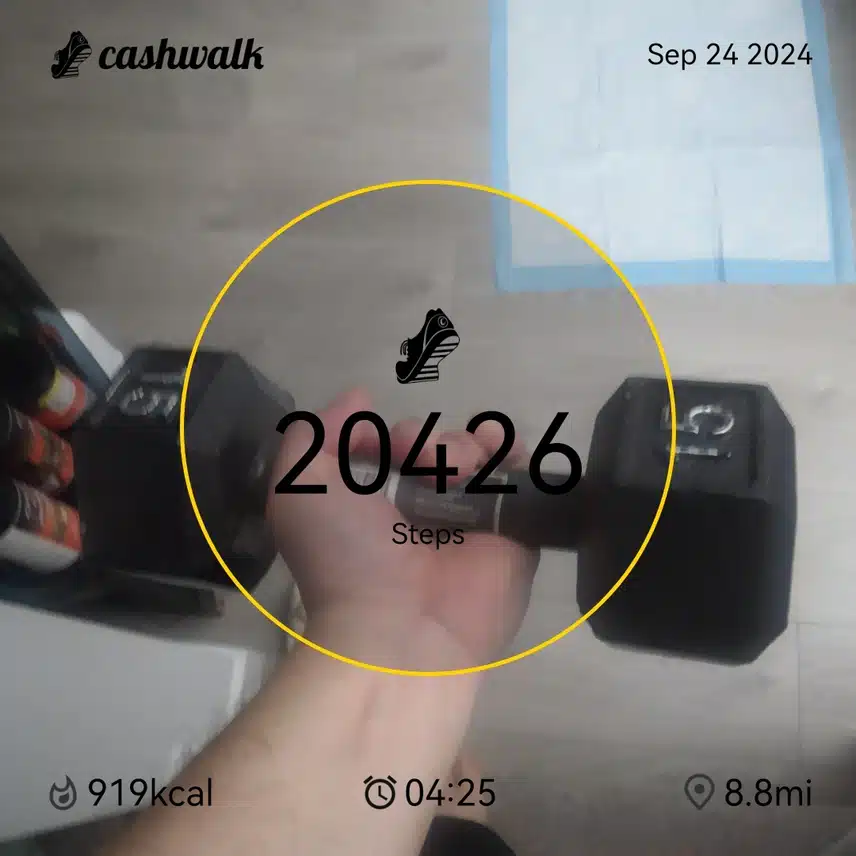 CashWalk_share_capture_20240924_ae9d024e-f29f-4433-9fed-694856a7