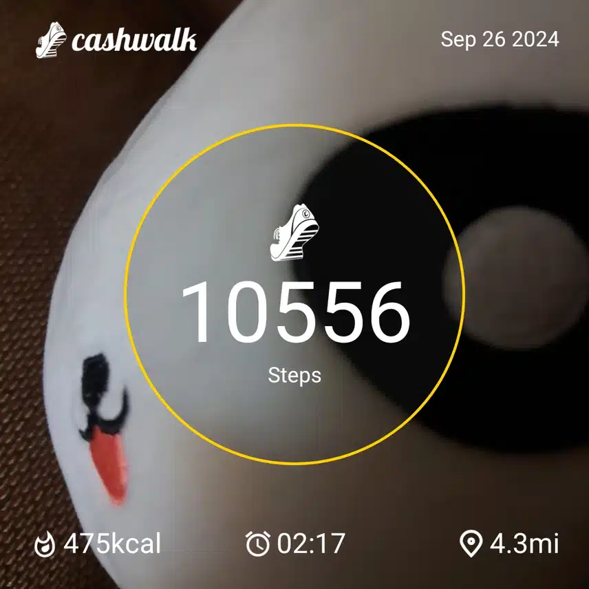 1000017386.jpg