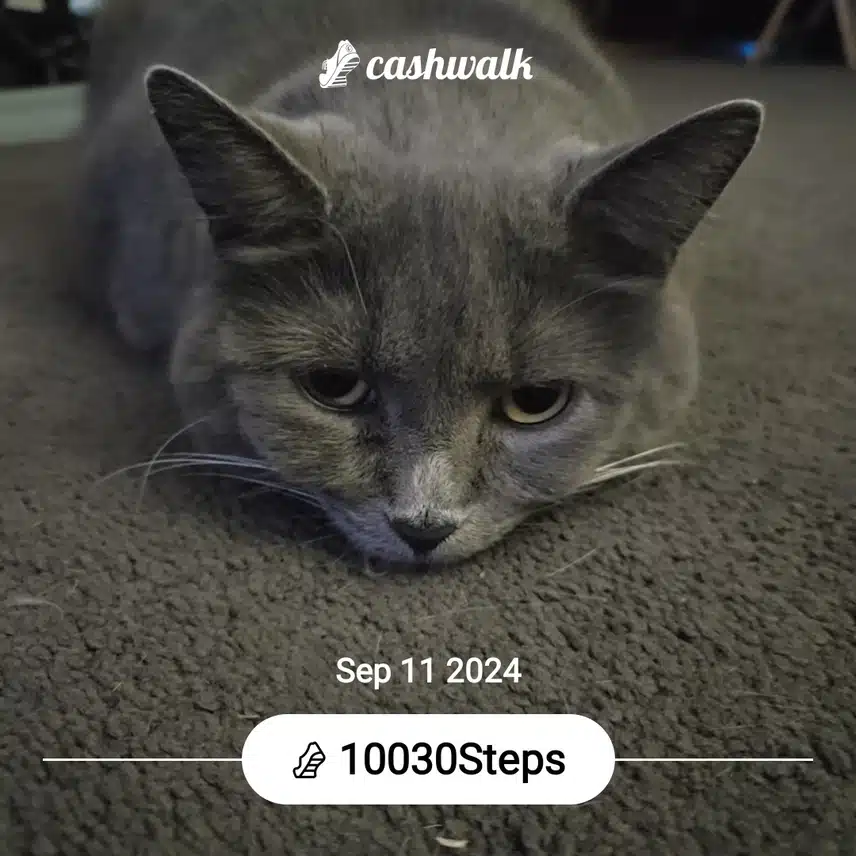 CashWalk_share_capture_20240911_f95af115-a936-4779-ac12-2bb92caa