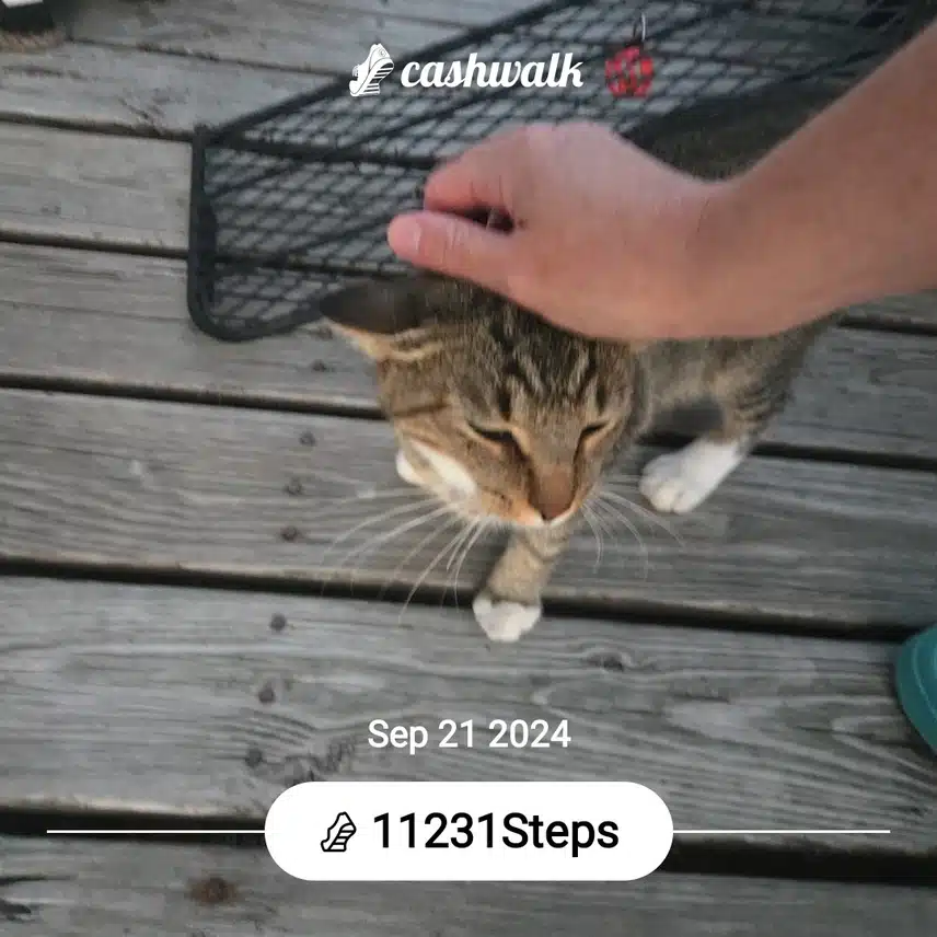 CashWalk_share_capture_20240921_3aaf8ec6-f7d6-4d40-8af8-9be1478f