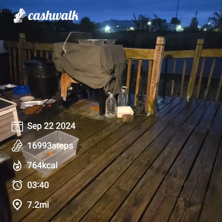 CashWalk_share_capture_20240922_20f8faf8-0515-44a6-ac16-48e73dc0