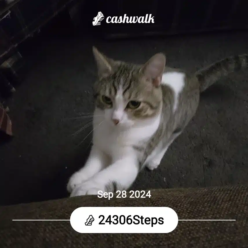 CashWalk_share_capture_20240928_8b7e87ea-a1ad-4f8c-99f5-3aa1b752