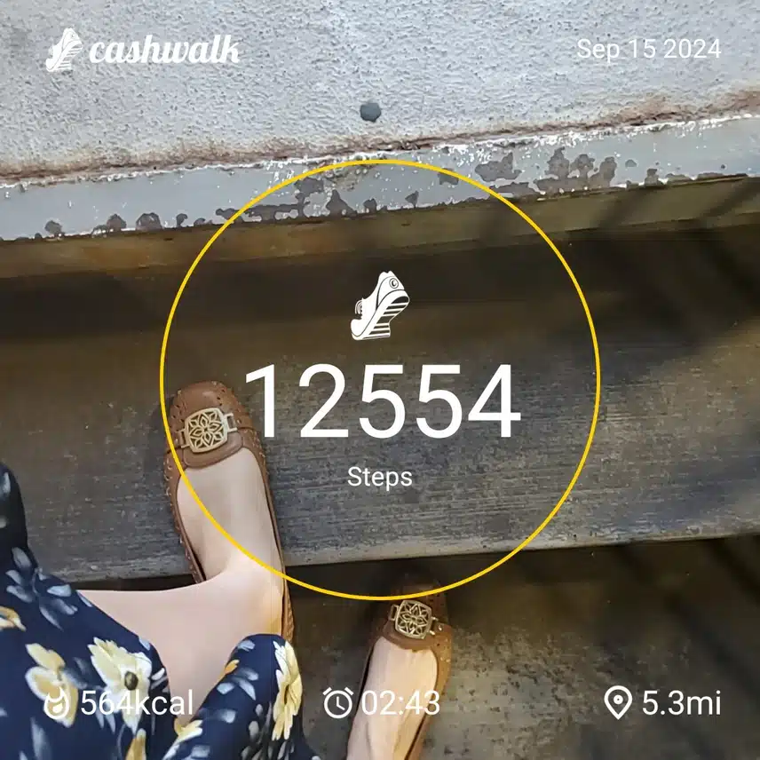 CashWalk_share_capture_20240915_cc8268dd-2c69-4f33-ba46-4512a07f