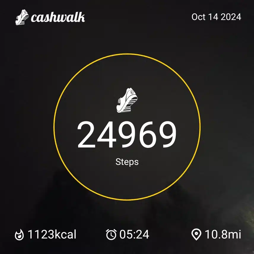 1000022104.jpg_resize