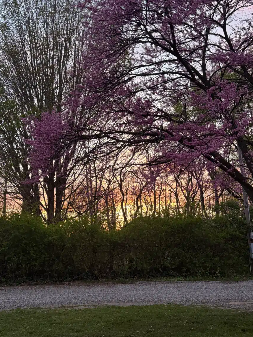 IMG_5055.jpeg_resize