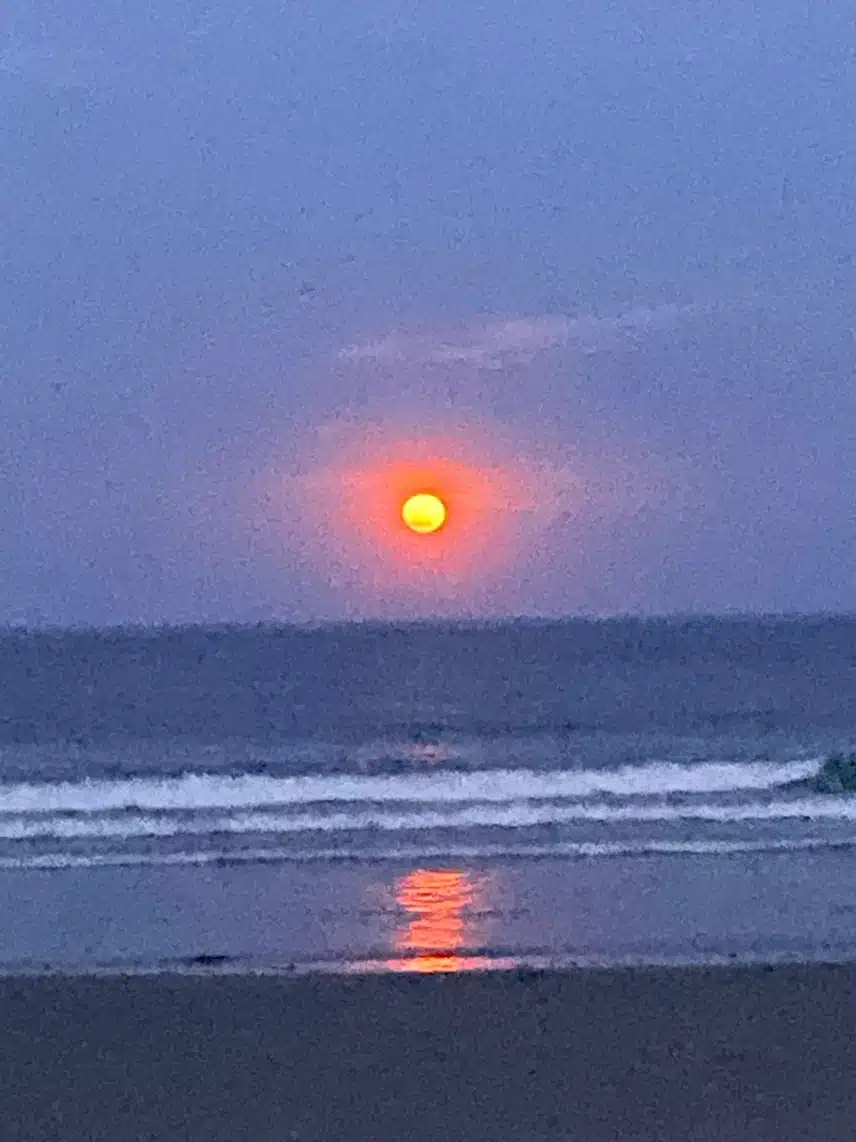 IMG_0748.jpeg_resize