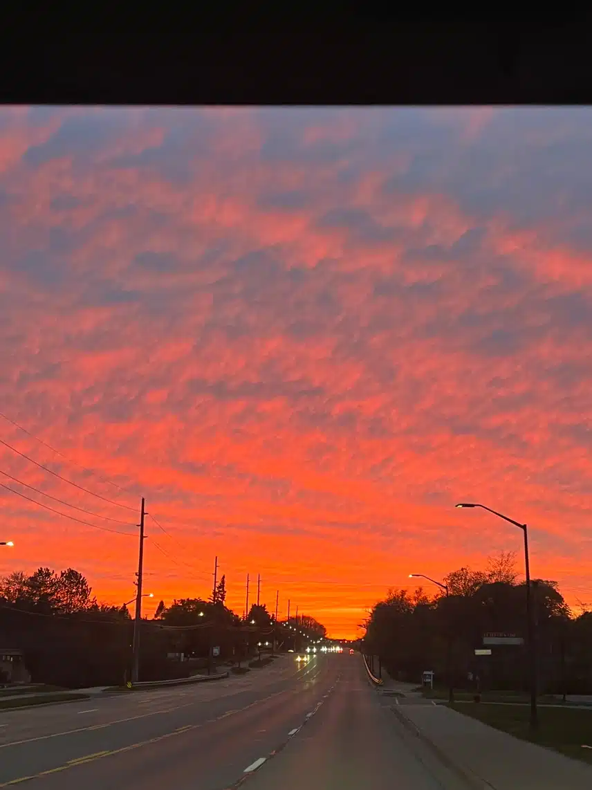 IMG_1456.jpeg_resize