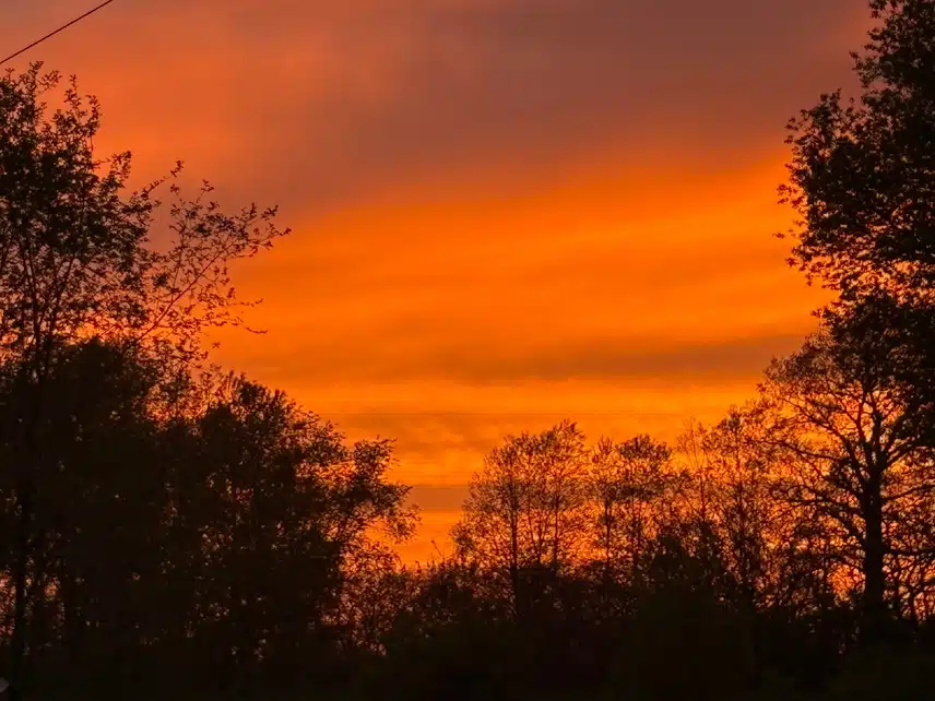 IMG_0531.jpeg_resize