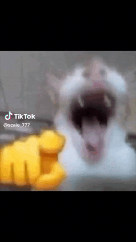 1000002175.gif