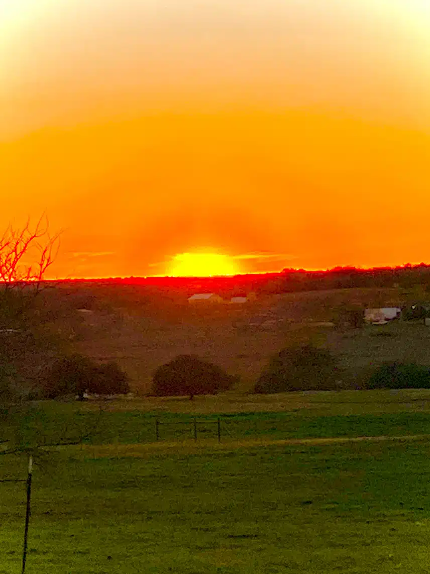 IMG_5553.jpeg_resize