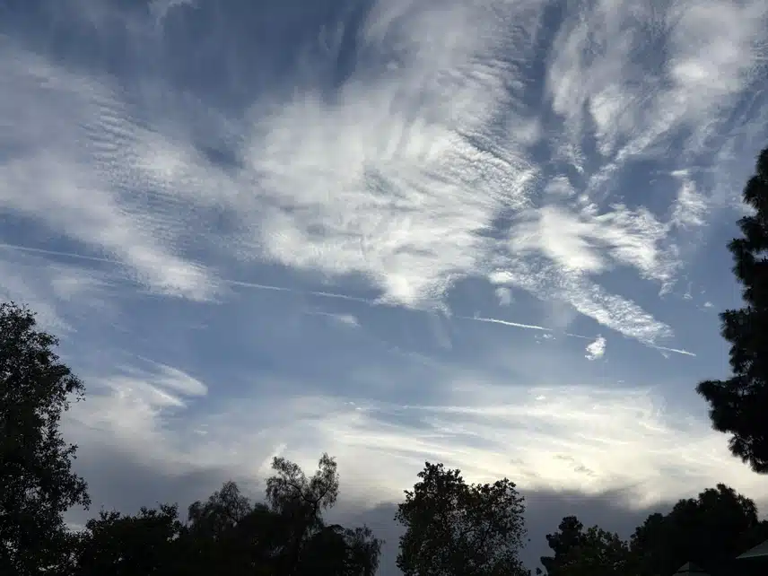 IMG_2585.jpeg_resize