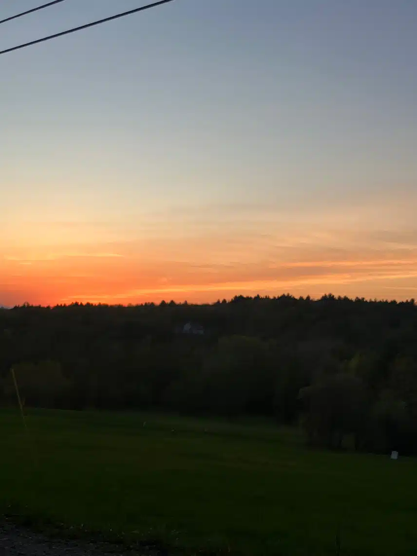 IMG_8109.jpeg_resize