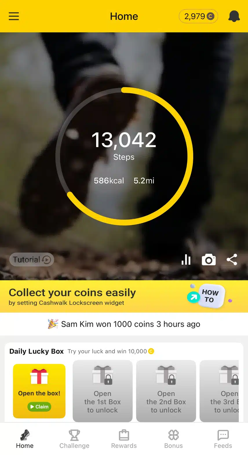 IMG_9646.jpeg_resize