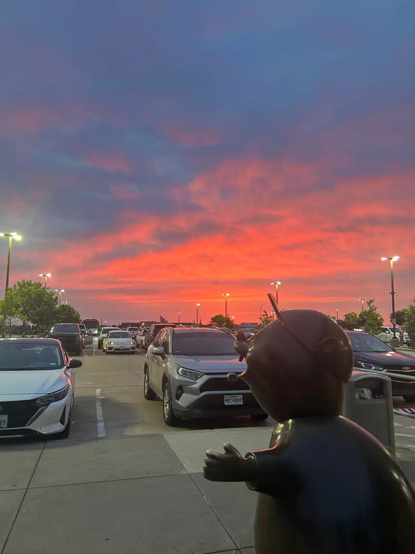 IMG_4281.jpeg_resize