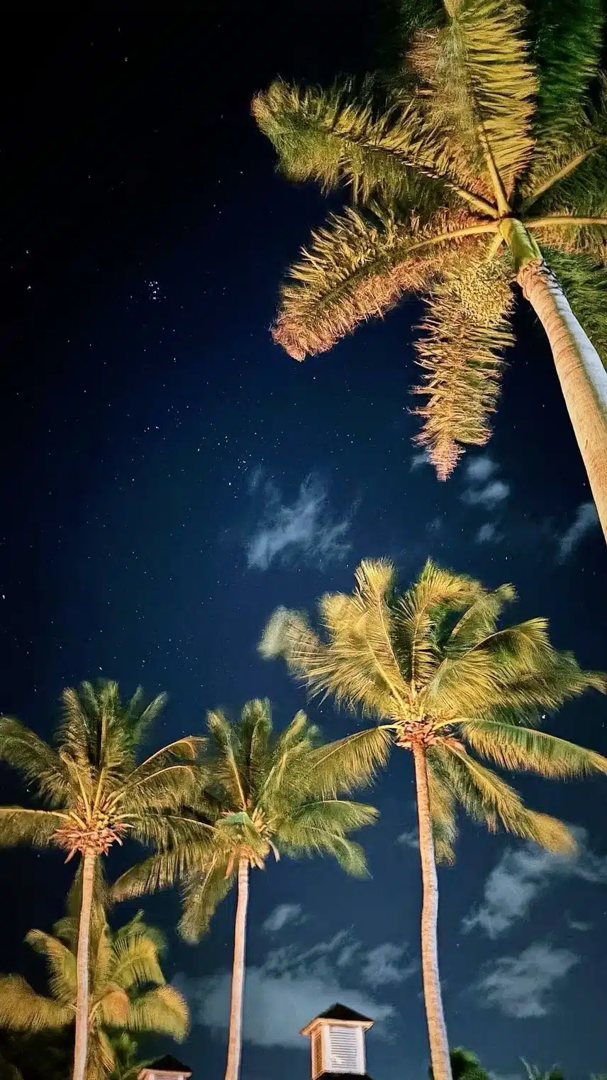 IMG_1058.jpeg_resize