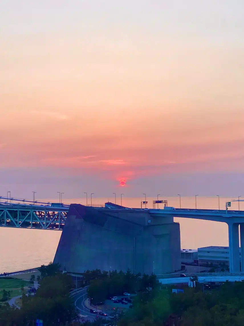 IMG_5926.jpeg_resize