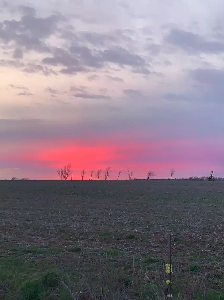 IMG_0908.jpeg_resize