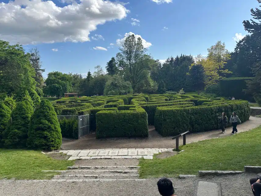 IMG_1398.jpeg_resize