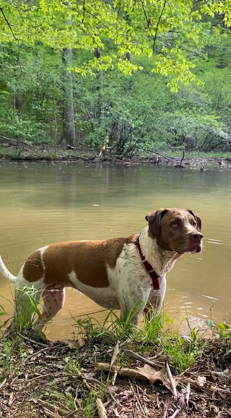 IMG_1320.jpeg_resize