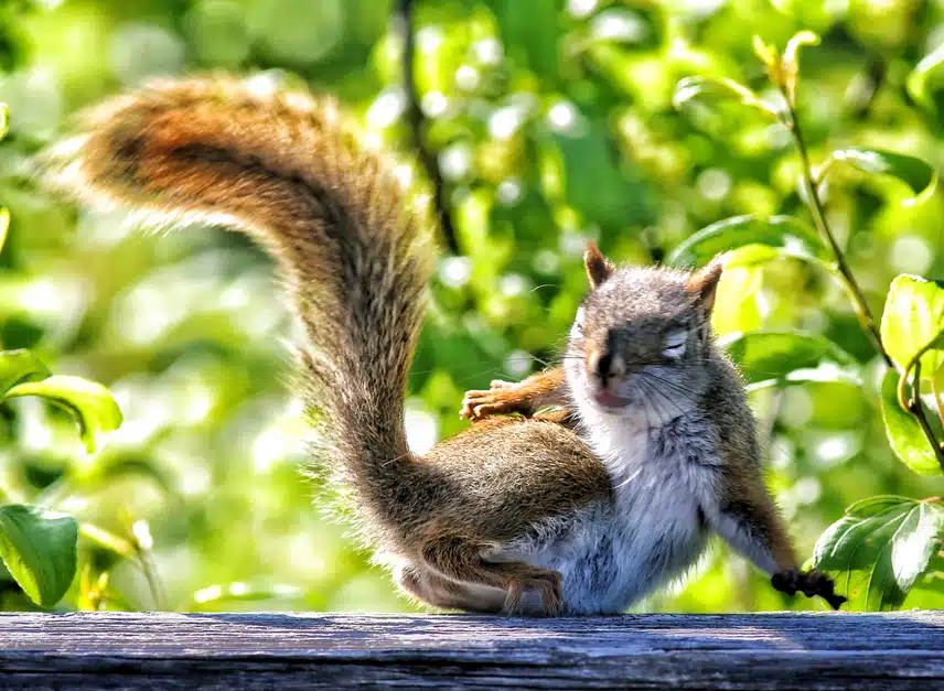 Snapseed.jpeg_resize