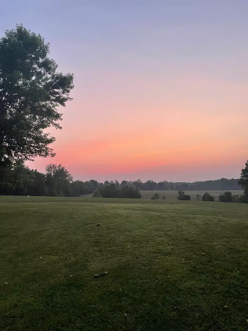 IMG_3255.jpeg_resize