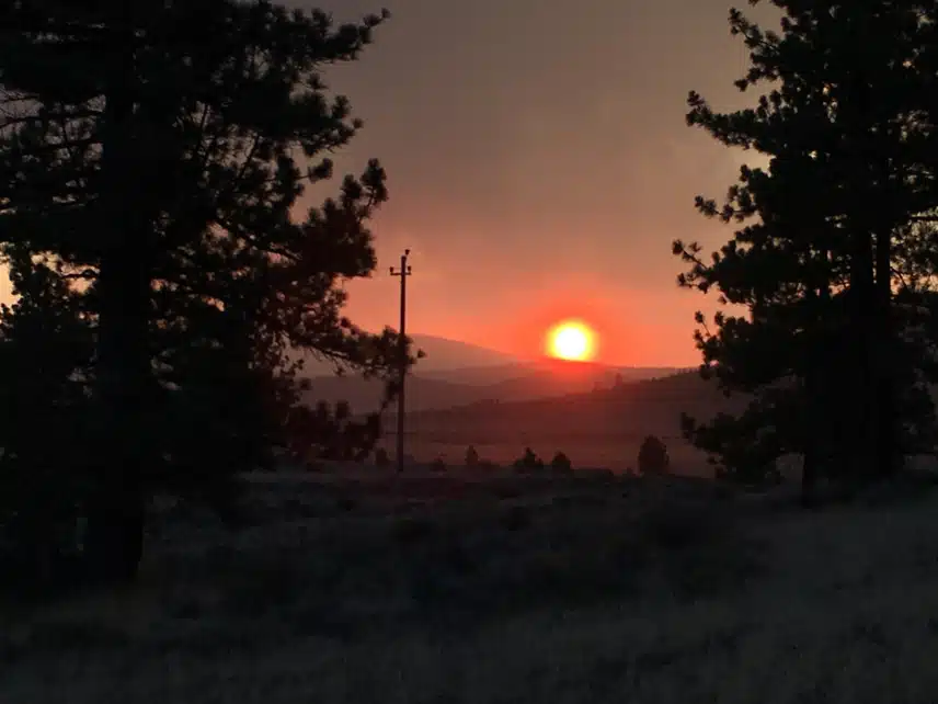 IMG_0022.jpeg_resize