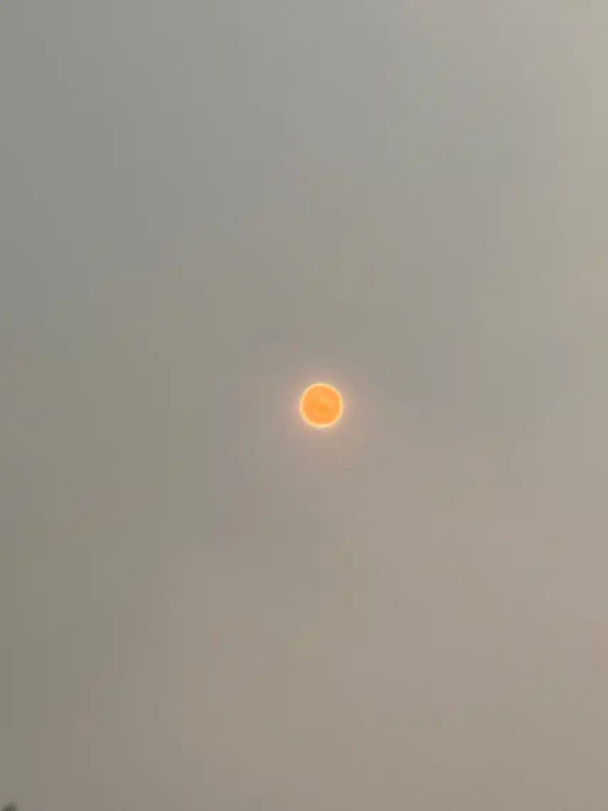 IMG_5918.jpeg_resize