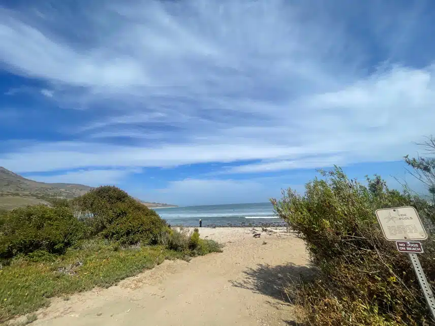 IMG_4944.jpeg_resize