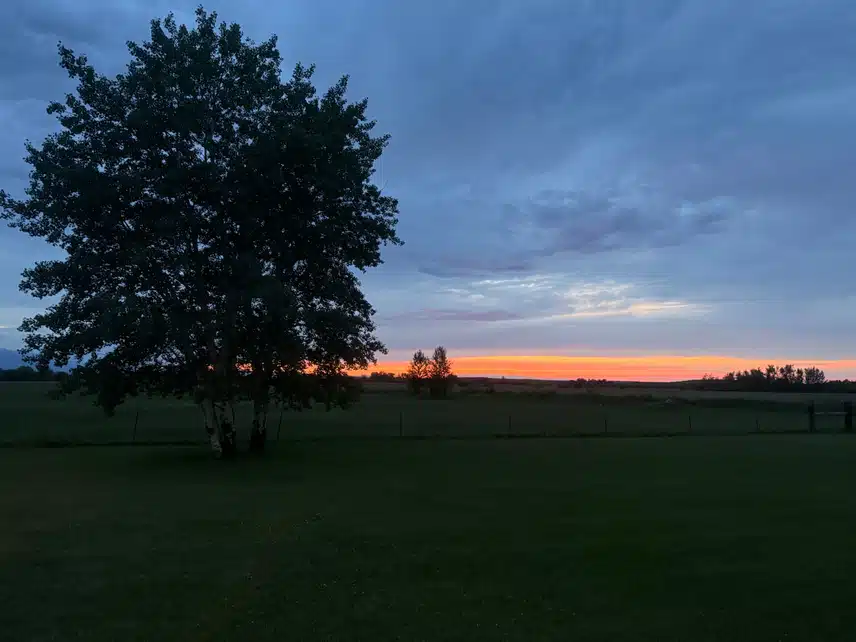 IMG_0430.jpeg_resize