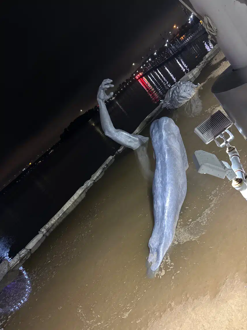 IMG_6494DFDF-73D5-4883-9E06-20D25BBC5279.jpeg_resize